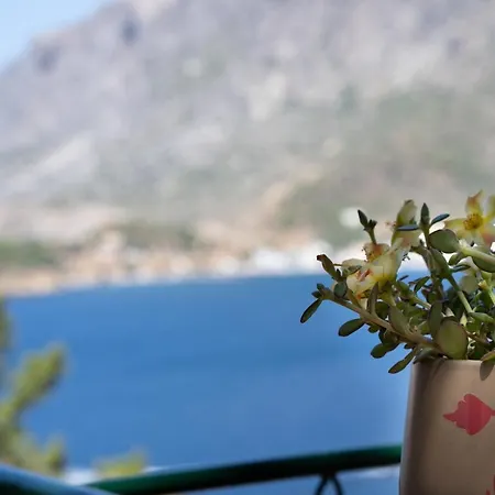 Chrysi's House φιλόξενο, άνετο και με υπέροχη θέα.